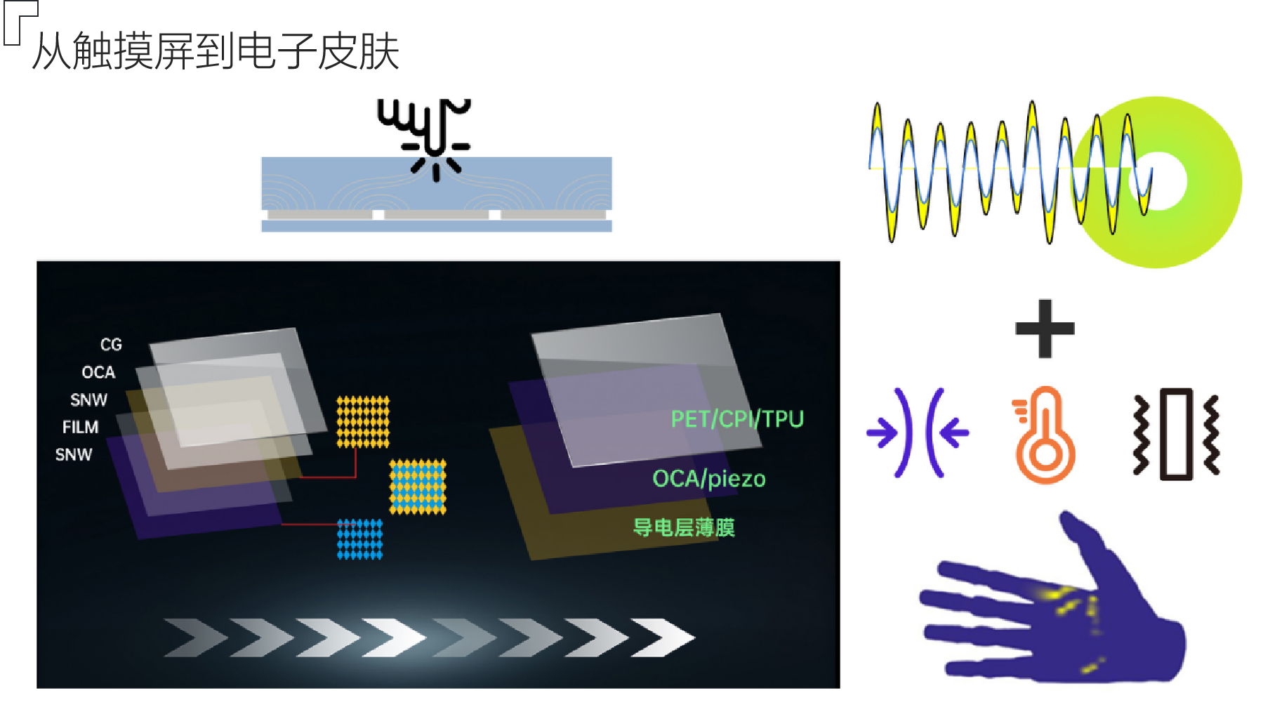 電子皮膚3.png